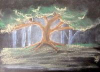 Forgotten oak
